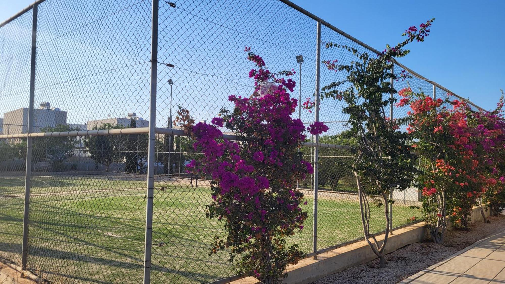 Mythical Sands Resort - Hana Paralimni Zimmer foto